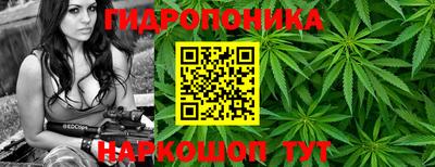 дурь Лесосибирск