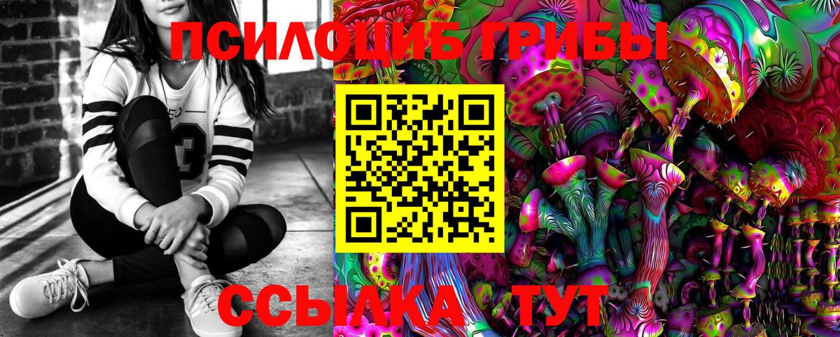 Псилоцибиновые грибы Psilocybine cubensis Калининград
